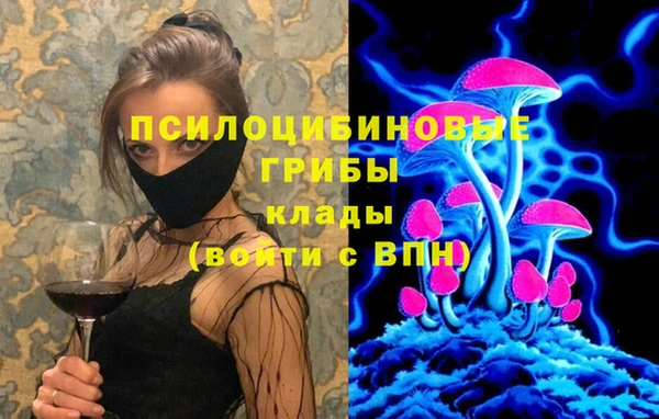 меф Арсеньев