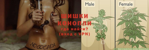 меф Арсеньев