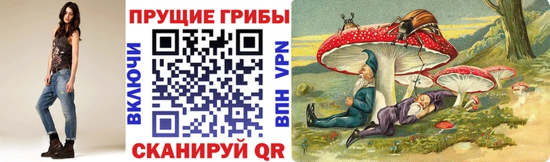 купить  сайты  Райчихинск  Псилоцибиновые грибы прущие грибы 